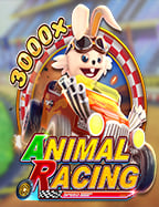 เว็บ พนัน ได้ เงิน จริง ไหม? มาทำความรู้จักกันเถอะ